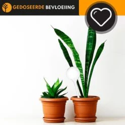 Waterdruppelaar Set Van 6 Stuks Voor Planten Transparant – 27 CM – Automatisch Watergeefsysteem Voor Kamerplanten – Planten Watergever Met Druppelsysteem – Waterbol 10 Waterdruppelaar Set Van 6 Stuks Voor Planten Transparant – 27 CM – Automatisch Watergeefsysteem Voor Kamerplanten – Planten Watergever Met Druppelsysteem – Waterbol -Tuin Kweekbenodigdheden 1200x1200 605