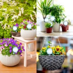 Druppelsysteem 12 Stuks Waterdruppelaar Voor Planten - Waterafgiftesysteem Voor 2 Weken - Beregening Voor Kamerplanten 15 Druppelsysteem 12 Stuks Waterdruppelaar Voor Planten - Waterafgiftesysteem Voor 2 Weken - Beregening Voor Kamerplanten -Tuin Kweekbenodigdheden 1200x1200 609