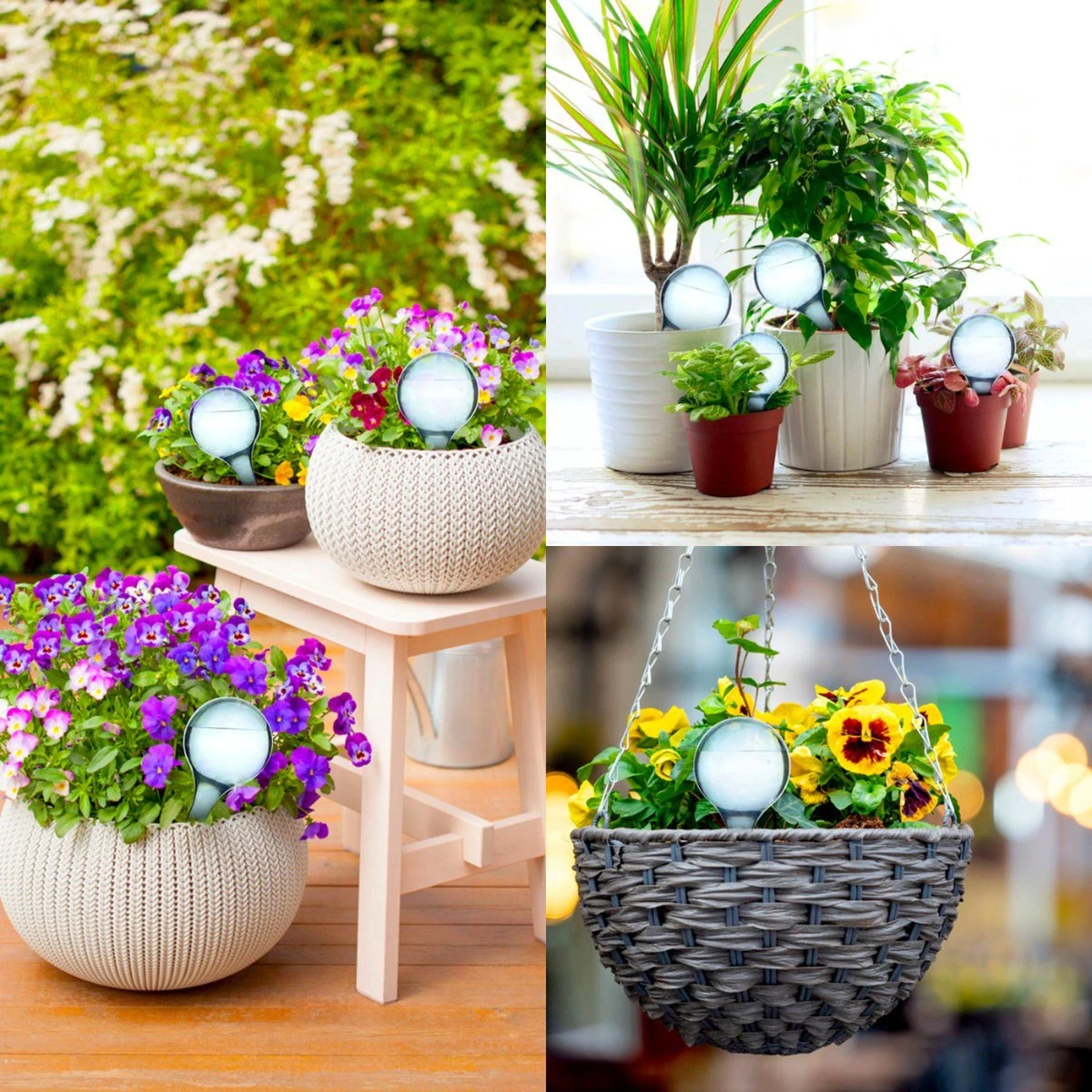 Druppelsysteem 12 Stuks Waterdruppelaar Voor Planten - Waterafgiftesysteem Voor 2 Weken - Beregening Voor Kamerplanten 8 Druppelsysteem 12 Stuks Waterdruppelaar Voor Planten - Waterafgiftesysteem Voor 2 Weken - Beregening Voor Kamerplanten - Afbeelding 6