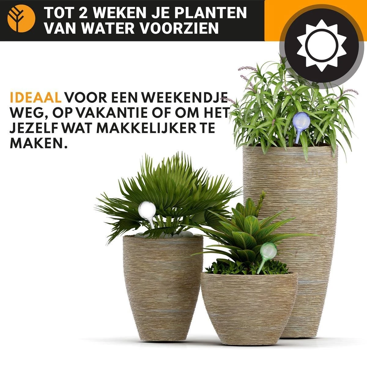 Waterdruppelaar Set Van 6 Stuks Voor Planten – 27 CM – Automatisch Watergeefsysteem Voor Kamerplanten – Planten Watergever Met Druppelsysteem – Waterbol 5 Waterdruppelaar Set Van 6 Stuks Voor Planten – 27 CM – Automatisch Watergeefsysteem Voor Kamerplanten – Planten Watergever Met Druppelsysteem – Waterbol - Afbeelding 3
