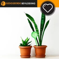 Waterdruppelaar Set Van 6 Stuks Voor Planten – 27 CM – Automatisch Watergeefsysteem Voor Kamerplanten – Planten Watergever Met Druppelsysteem – Waterbol 11 Waterdruppelaar Set Van 6 Stuks Voor Planten – 27 CM – Automatisch Watergeefsysteem Voor Kamerplanten – Planten Watergever Met Druppelsysteem – Waterbol -Tuin Kweekbenodigdheden 1200x1200 612