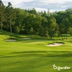 Kalk Korrel Meststof Verrijkt Met Magnesium (5Kg - Voor 100m2) Voor Dieper Bladgroen (+PH) Speciaal Voor Gazon, Perken, Moestuin En Openbaar Groen - Organifer 25 Kalk Korrel Meststof Verrijkt Met Magnesium (5Kg - Voor 100m2) Voor Dieper Bladgroen (+PH) Speciaal Voor Gazon, Perken, Moestuin En Openbaar Groen - Organifer -Tuin Kweekbenodigdheden 1200x1200 62