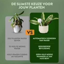 STFF & Co® Waterdruppelaar Voor Planten – Irrigatiesysteem Automatisch Watergeefsysteem – Waterbollen Voor Planten – Bewateringssysteem – 8 Stuks - 5cm 9 STFF & Co® Waterdruppelaar Voor Planten – Irrigatiesysteem Automatisch Watergeefsysteem – Waterbollen Voor Planten – Bewateringssysteem – 8 Stuks - 5cm -Tuin Kweekbenodigdheden 1200x1200 620