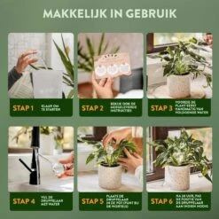 STFF & Co® Waterdruppelaar Voor Planten – Irrigatiesysteem Automatisch Watergeefsysteem – Waterbollen Voor Planten – Bewateringssysteem – 8 Stuks - 5cm 10 STFF & Co® Waterdruppelaar Voor Planten – Irrigatiesysteem Automatisch Watergeefsysteem – Waterbollen Voor Planten – Bewateringssysteem – 8 Stuks - 5cm -Tuin Kweekbenodigdheden 1200x1200 621