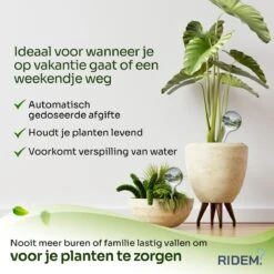 Waterdruppelaar Voor Planten - Irrigatiesysteem- Waterbol - Druppelsysteem - Watergeefsysteem Voor Kamerplanten - Plantenwatergever -6 Stuks - Transparant 17 Waterdruppelaar Voor Planten - Irrigatiesysteem- Waterbol - Druppelsysteem - Watergeefsysteem Voor Kamerplanten - Plantenwatergever -6 Stuks - Transparant -Tuin Kweekbenodigdheden 1200x1200 631
