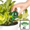 Merkloos Decopatent® 4 Stuks - Waterdruppelaar Voor Planten - Watergever - Glas - Waterbollen - Watergeefsysteem - Plantenbollen - Groen 2 Merkloos Decopatent® 4 Stuks - Waterdruppelaar Voor Planten - Watergever - Glas - Waterbollen - Watergeefsysteem - Plantenbollen - Groen -Tuin Kweekbenodigdheden 1200x1200 632