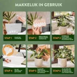 STFF & Co® Waterdruppelaar Voor Planten – Irrigatiesysteem Automatisch Watergeefsysteem – Waterbollen Voor Planten – Bewateringssysteem – 8 Stuks - 8cm -Tuin Kweekbenodigdheden 1200x1200 647