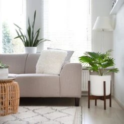 LifeGoods Planten Standaard - Uitschuifbare Bloempothouder - 20 Tot 30 Cm - Donker Bamboe 14 LifeGoods Planten Standaard - Uitschuifbare Bloempothouder - 20 Tot 30 Cm - Donker Bamboe -Tuin Kweekbenodigdheden 1200x1200 766