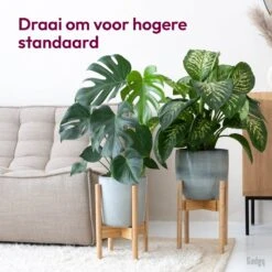 Gadgy Bamboe Plantenstandaard 2 St - Plantentafel - Plantentafeltje Voor Binnen - Plantenrek - Uitschuifbaar - Hout - Ø 20 Tot 30 Cm 18 Gadgy Bamboe Plantenstandaard 2 St - Plantentafel - Plantentafeltje Voor Binnen - Plantenrek - Uitschuifbaar - Hout - Ø 20 Tot 30 Cm -Tuin Kweekbenodigdheden 1200x1200 777