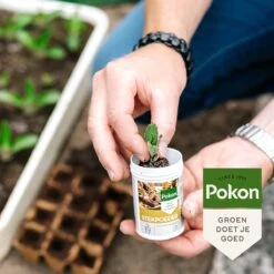 Pokon Stekpoeder - 25gr - Stimuleert Wortelvorming -Tuin Kweekbenodigdheden 1200x1200 79