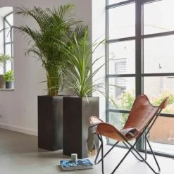 Capi Europe - Bloempot Rechthoek Smooth NL - 36x36x79 - Zwart - Voor Binnen En Buiten - KBL952 -Tuin Kweekbenodigdheden 1200x1200 795