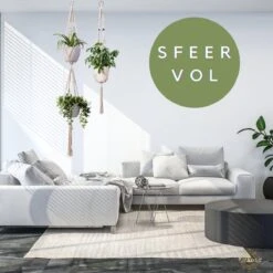 Plantenhanger Macrame Set Van 2 - Plantenhanger Met Ruimte Voor 3 Potten - Luxe Gevlochten Touw 100% Katoen - Duurzaam - Plantenbakken - Bloempotten - Macramé Stijl Hanger Voor Bloempotten - Hangpot - Fienosa 11 Plantenhanger Macrame Set Van 2 - Plantenhanger Met Ruimte Voor 3 Potten - Luxe Gevlochten Touw 100% Katoen - Duurzaam - Plantenbakken - Bloempotten - Macramé Stijl Hanger Voor Bloempotten - Hangpot - Fienosa -Tuin Kweekbenodigdheden 1200x1200 852