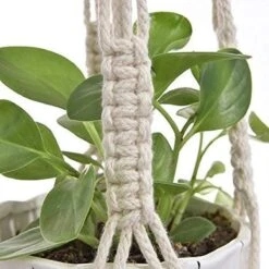 4 Stuks Plantenhangers - Boho Handgeweven Katoen Hangpot Voor Binnen/Buiten - Bloempot Met Kralen - Macramé Touw/Koord Hangplant Houder - Bohemian Wandhanger Decoratie - Verticale Tuin Plant Hanger Bloempothouder Planthanger Wit -Tuin Kweekbenodigdheden 1200x1200 870