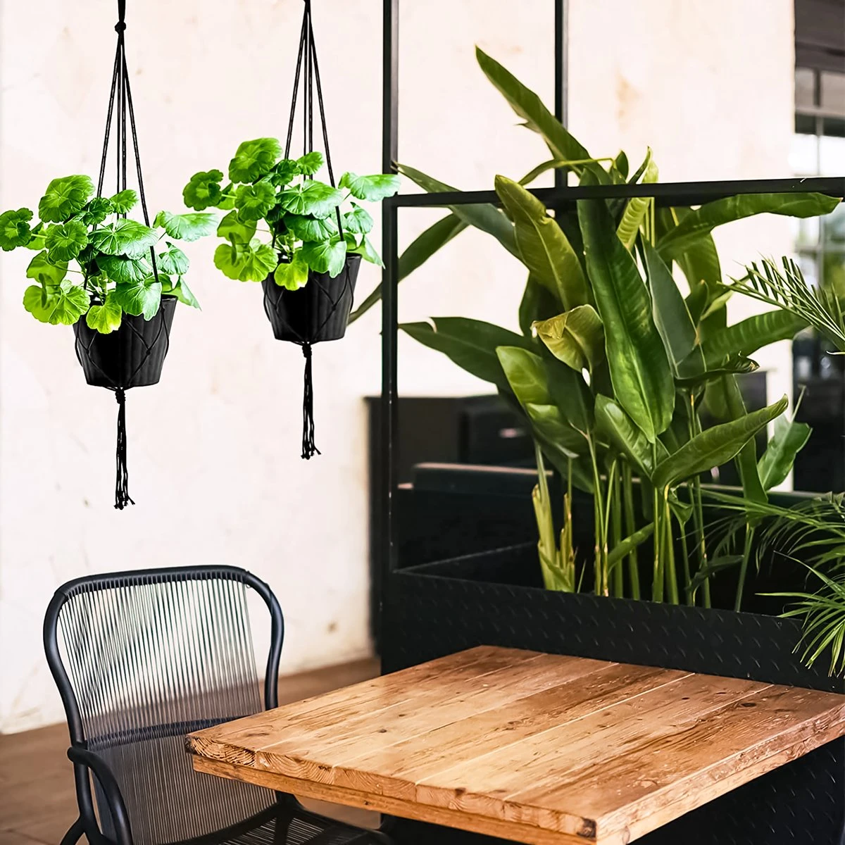 9 Stuks Zwart Macrame Plantenhangers - Boho Handgeweven Katoen Hangpot Voor Binnen/Buiten - Hangende Bloempot Met Kralen - Macramé Touw/Koord Hangplant Houder - Bohemian Wandhanger Decoratie - Plant Hanger - Verticale Tuin Bloempothouder Planthanger 6 9 Stuks Zwart Macrame Plantenhangers - Boho Handgeweven Katoen Hangpot Voor Binnen/Buiten - Hangende Bloempot Met Kralen - Macramé Touw/Koord Hangplant Houder - Bohemian Wandhanger Decoratie - Plant Hanger - Verticale Tuin Bloempothouder Planthanger - Afbeelding 4