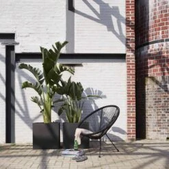 Capi Europe - Bloempot Vierkant Smooth NL - 50x50x50 - Zwart - Voor Binnen En Buiten - KBL904 -Tuin Kweekbenodigdheden 1200x1200 906