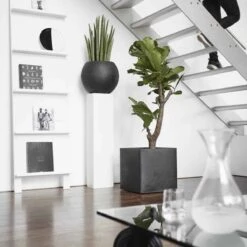 Capi Europe - Bloempot Vierkant Smooth NL - 50x50x50 - Zwart - Voor Binnen En Buiten - KBL904 -Tuin Kweekbenodigdheden 1200x1200 913