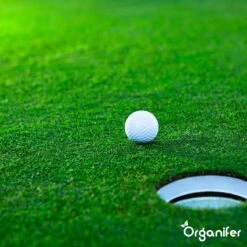 Gazonmest All-In-One (5Kg - Voor 100m2) Voor Een Diepgroen Sterk Gazon Zonder Mos En Onkruid - Complete Meststof Met Kalk En Grasversterker - Organifer 31 Gazonmest All-In-One (5Kg - Voor 100m2) Voor Een Diepgroen Sterk Gazon Zonder Mos En Onkruid - Complete Meststof Met Kalk En Grasversterker - Organifer -Tuin Kweekbenodigdheden 1200x1200 92