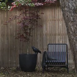 Capi Europe - Bloempot Bol Smooth NL - 54x52 - Zwart - Voor Binnen En Buiten - KBL935 -Tuin Kweekbenodigdheden 1200x1200 923