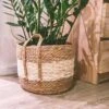 Merkloos Plantenmand 30x22cm Naturel Bruin – Multifunctionele Mand – Handgemaakt – Planten-houder – Planten Accessoires – Planten Mand 1 Merkloos Plantenmand 30x22cm Naturel Bruin – Multifunctionele Mand – Handgemaakt – Planten-houder – Planten Accessoires – Planten Mand -Tuin Kweekbenodigdheden 1200x1200 930
