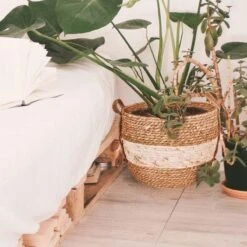 Merkloos Plantenmand 30x22cm Naturel Bruin – Multifunctionele Mand – Handgemaakt – Planten-houder – Planten Accessoires – Planten Mand 14 Merkloos Plantenmand 30x22cm Naturel Bruin – Multifunctionele Mand – Handgemaakt – Planten-houder – Planten Accessoires – Planten Mand -Tuin Kweekbenodigdheden 1200x1200 934