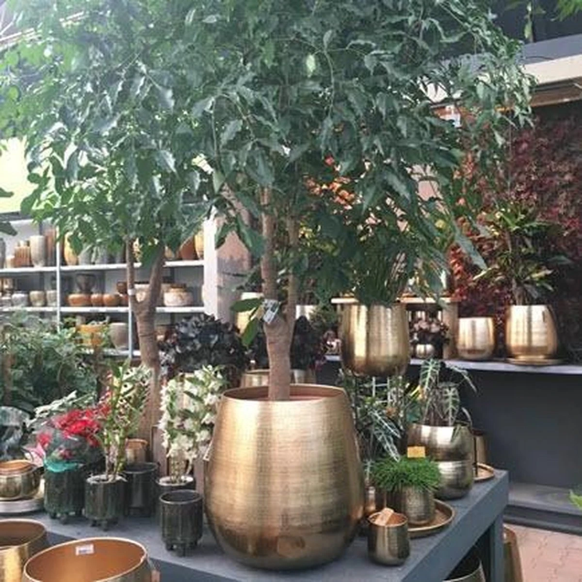 Gina Da Bloempot Karakter Goud - XL 7 Gina Da Bloempot Karakter Goud - XL - Afbeelding 5