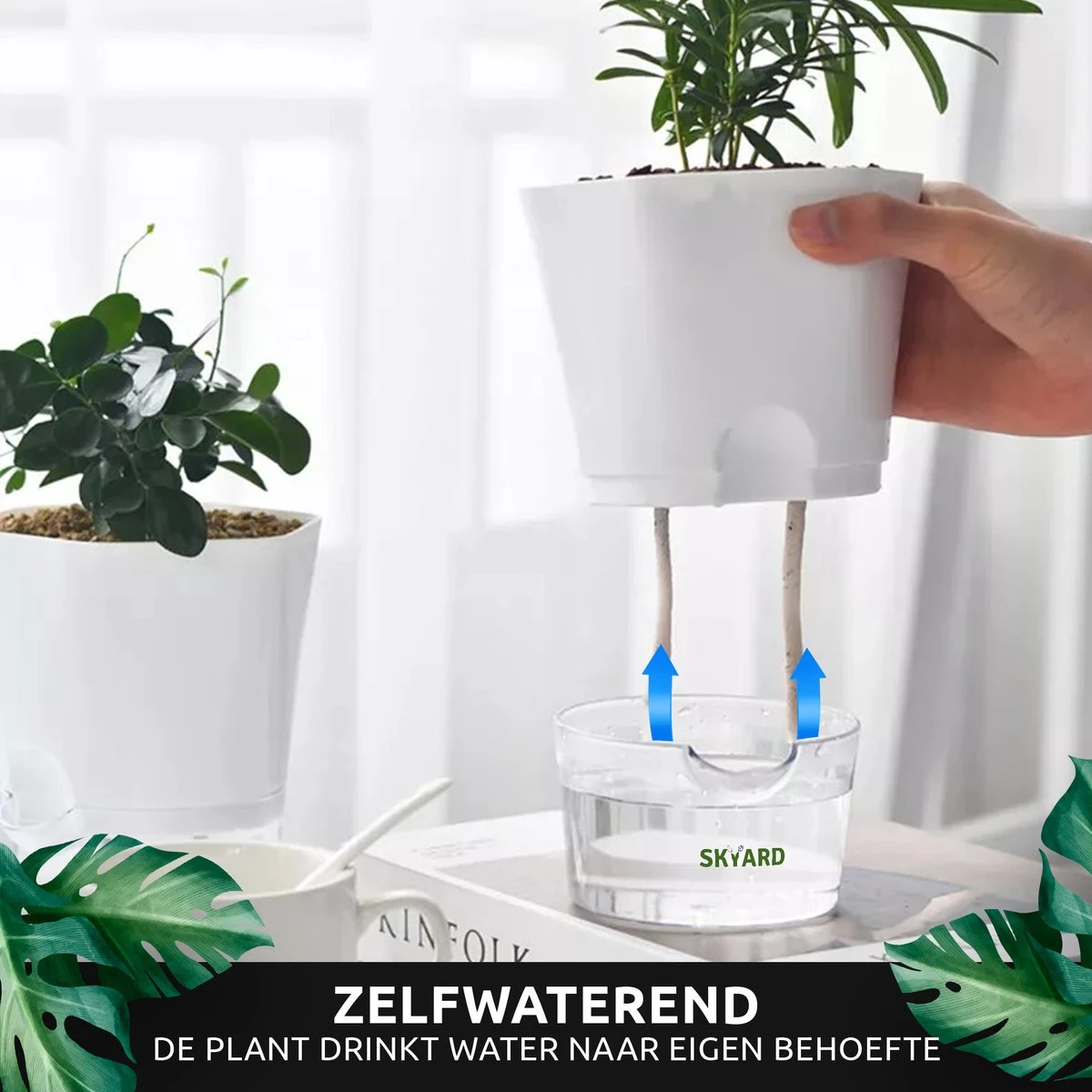 SKYARD® 3 Stuks Zelfwaterende Bloempot Maat M – Milieuvriendelijk Watergeefsysteem Kamerplanten – Zelfwatergevende Pot – Bloempot Met Waterreservoir – Selfwatering Pot – Wit 4 SKYARD® 3 Stuks Zelfwaterende Bloempot Maat M – Milieuvriendelijk Watergeefsysteem Kamerplanten – Zelfwatergevende Pot – Bloempot Met Waterreservoir – Selfwatering Pot – Wit - Afbeelding 2