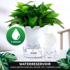SKYARD® 3 Stuks Zelfwaterende Bloempot Maat M – Milieuvriendelijk Watergeefsysteem Kamerplanten – Zelfwatergevende Pot – Bloempot Met Waterreservoir – Selfwatering Pot – Wit 21 SKYARD® 3 Stuks Zelfwaterende Bloempot Maat M – Milieuvriendelijk Watergeefsysteem Kamerplanten – Zelfwatergevende Pot – Bloempot Met Waterreservoir – Selfwatering Pot – Wit -Tuin Kweekbenodigdheden 1200x1200 967