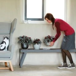 Elho Floorprotector Rond 25 - Accessoires Voor Binnen - Ø 25.0 X H 1.5 Cm - Transparant/Transparant 9 Elho Floorprotector Rond 25 - Accessoires Voor Binnen - Ø 25.0 X H 1.5 Cm - Transparant/Transparant -Tuin Kweekbenodigdheden 1200x1200 972