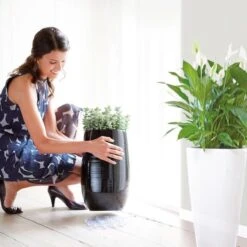 Elho Floorprotector Rond 25 - Accessoires Voor Binnen - Ø 25.0 X H 1.5 Cm - Transparant/Transparant 10 Elho Floorprotector Rond 25 - Accessoires Voor Binnen - Ø 25.0 X H 1.5 Cm - Transparant/Transparant -Tuin Kweekbenodigdheden 1200x1200 973