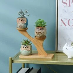 Luxe Bamboe Houten Boom Met 3 Keramiek Uil Bloempotten/Plantenpotten Op Standaard/Voet Voor Binnen En Buiten - Modern Design Bloempot/Plantenpot Op Poten/Pootjes-Plantenbak Mini Cactus Nep Plant Pot Houder - Kleine Bloembakken Plantenrek/Plantenkurk 13 Luxe Bamboe Houten Boom Met 3 Keramiek Uil Bloempotten/Plantenpotten Op Standaard/Voet Voor Binnen En Buiten - Modern Design Bloempot/Plantenpot Op Poten/Pootjes-Plantenbak Mini Cactus Nep Plant Pot Houder - Kleine Bloembakken Plantenrek/Plantenkurk -Tuin Kweekbenodigdheden 1200x1200 980
