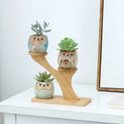 Luxe Bamboe Houten Boom Met 3 Keramiek Uil Bloempotten/Plantenpotten Op Standaard/Voet Voor Binnen En Buiten - Modern Design Bloempot/Plantenpot Op Poten/Pootjes-Plantenbak Mini Cactus Nep Plant Pot Houder - Kleine Bloembakken Plantenrek/Plantenkurk 15 Luxe Bamboe Houten Boom Met 3 Keramiek Uil Bloempotten/Plantenpotten Op Standaard/Voet Voor Binnen En Buiten - Modern Design Bloempot/Plantenpot Op Poten/Pootjes-Plantenbak Mini Cactus Nep Plant Pot Houder - Kleine Bloembakken Plantenrek/Plantenkurk -Tuin Kweekbenodigdheden 1200x1200 981