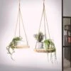 Merkloos Plantenhanger Boomstam Schijf | 30-35cm | Handgemaakt | Planten-houder / Hang-plant | Planten Accessoires | Decoratie Houten Hang Plank | -Tuin Kweekbenodigdheden 1200x1200 993
