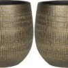 Set Van 2x Stuks Plantenpotten/bloempotten In Een Strakke Modern Design Look Metal Goud Dia 22 Cm En Hoogte 20 Cm 1 Set Van 2x Stuks Plantenpotten/bloempotten In Een Strakke Modern Design Look Metal Goud Dia 22 Cm En Hoogte 20 Cm -Tuin Kweekbenodigdheden 1200x582