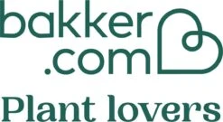 Pokon Bio Moestuinvoeding - 500ml - Plantenvoeding - 14ml Per 1l Water 15 Pokon Bio Moestuinvoeding - 500ml - Plantenvoeding - 14ml Per 1l Water -Tuin Kweekbenodigdheden 1200x657 3