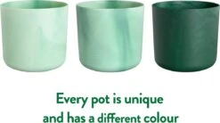 Elho The Ocean Collection Round 22cm - Bloempot Voor Binnen - 100% Gerecycled Materiaal - Gemaakt Met Zeeafval - Ø 22.3 X H 20.4 Cm - Pacifisch Groen 22 Elho The Ocean Collection Round 22cm - Bloempot Voor Binnen - 100% Gerecycled Materiaal - Gemaakt Met Zeeafval - Ø 22.3 X H 20.4 Cm - Pacifisch Groen -Tuin Kweekbenodigdheden 1200x670 1