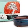 Happy Seed Keramieken Bonsai Pot (schaal) - Marine Blauw - Geglazuurd -Tuin Kweekbenodigdheden 1200x779 1