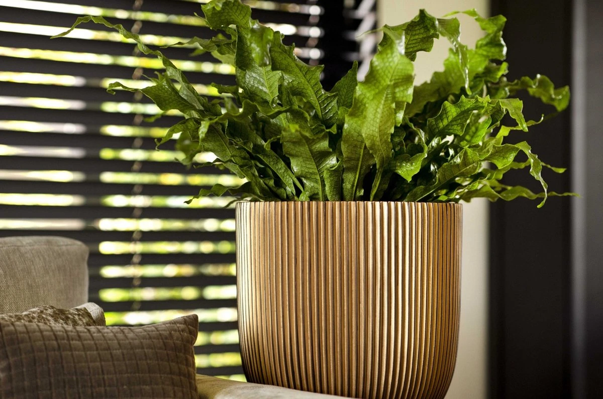 Capi Europe - Bloempot Bol Groove - 23x21 - Goud - Bloempot Voor Binnen - BGVGB134 4 Capi Europe - Bloempot Bol Groove - 23x21 - Goud - Bloempot Voor Binnen - BGVGB134 - Afbeelding 2