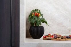 Capi Europe - Vaas Bol Groove - 29x26 - Zwart - Bloempot Voor Binnen - BGVBL104 5 Capi Europe - Vaas Bol Groove - 29x26 - Zwart - Bloempot Voor Binnen - BGVBL104 -Tuin Kweekbenodigdheden 1200x799 49