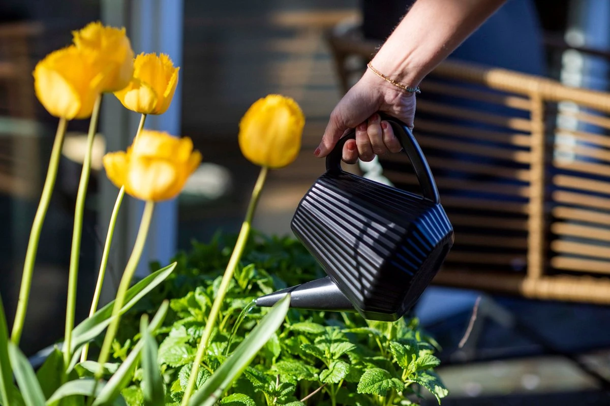 Xala - Gieter Doppio Groove 2L Zwart 5 Xala - Gieter Doppio Groove 2L Zwart - Afbeelding 3