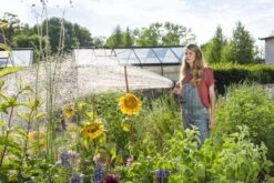 GARDENA - Comfort Broeskop - 5 Straalsoorten - Grijs 29 GARDENA - Comfort Broeskop - 5 Straalsoorten - Grijs -Tuin Kweekbenodigdheden 1200x800 12