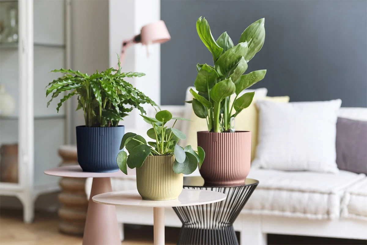 Elho Vibes Fold Rond 30 - Bloempot Voor Binnen - Ø 29.5 X H 27.2 Cm - Zijdewit 14 Elho Vibes Fold Rond 30 - Bloempot Voor Binnen - Ø 29.5 X H 27.2 Cm - Zijdewit - Afbeelding 12