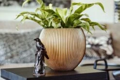 Capi Europe - Vaas Bol Groove XL - 63x51 - Goud - Bloempot Voor Binnen - Opening ⌀42 - GVGB271 9 Capi Europe - Vaas Bol Groove XL - 63x51 - Goud - Bloempot Voor Binnen - Opening ⌀42 - GVGB271 -Tuin Kweekbenodigdheden 1200x800 123