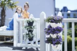 Elho Corsica Vertical Forest 24 - Bloempot Voor Balkonbuiten - Ø 26.7 X H 29.7 Cm - Wit/Wit 25 Elho Corsica Vertical Forest 24 - Bloempot Voor Balkonbuiten - Ø 26.7 X H 29.7 Cm - Wit/Wit -Tuin Kweekbenodigdheden 1200x800 132