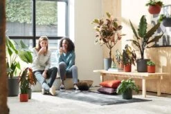 Elho B.for Soft Rond 25 - Bloempot Voor Binnen - Ø 24.7 X H 23.3 Cm - Antraciet 17 Elho B.for Soft Rond 25 - Bloempot Voor Binnen - Ø 24.7 X H 23.3 Cm - Antraciet -Tuin Kweekbenodigdheden 1200x800 137