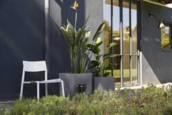 Capi Europe - Bloempot Vierkant Smooth NL - 50x50x50 - Zwart - Voor Binnen En Buiten - KBL904 -Tuin Kweekbenodigdheden 1200x800 143