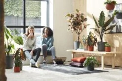 Elho B.for Soft Rond 35 - Bloempot Voor Binnen - Ø 34.5 X H 32.3 Cm - Antraciet 26 Elho B.for Soft Rond 35 - Bloempot Voor Binnen - Ø 34.5 X H 32.3 Cm - Antraciet -Tuin Kweekbenodigdheden 1200x800 149