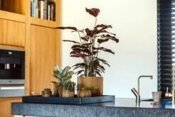 Capi Europe - Vaas Bol Groove XL - 39x33 - Goud - Bloempot Voor Binnen - Opening ⌀24 - GVGB270 10 Capi Europe - Vaas Bol Groove XL - 39x33 - Goud - Bloempot Voor Binnen - Opening ⌀24 - GVGB270 -Tuin Kweekbenodigdheden 1200x800 155