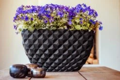 Capi Europe - Bloempot Ovaal Heraldry - 60x35 - Zwart - Bloempot Voor Binnen - BSBI841 5 Capi Europe - Bloempot Ovaal Heraldry - 60x35 - Zwart - Bloempot Voor Binnen - BSBI841 -Tuin Kweekbenodigdheden 1200x800 168