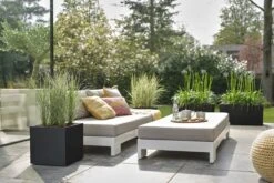 Elho Vivo Next Vierkant 30 - Plantenbak Voor Binnen & Buiten - Ø 29.5 X H 29.5 Cm - Zwart/Living Black -Tuin Kweekbenodigdheden 1200x800 172