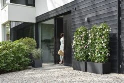 Elho Vivo Next Vierkant 40 - Plantenbak Voor Binnen & Buiten - Ø 39.0 X H 37.9 Cm - Zwart/Living Black 25 Elho Vivo Next Vierkant 40 - Plantenbak Voor Binnen & Buiten - Ø 39.0 X H 37.9 Cm - Zwart/Living Black -Tuin Kweekbenodigdheden 1200x800 177